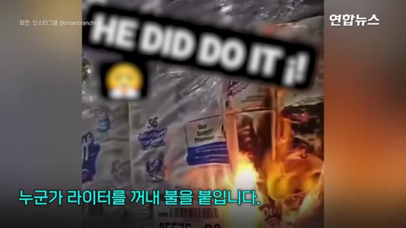 연합뉴스 Yonhapnews - 먹고 살정도 월급은 줬어야지!…라이터 