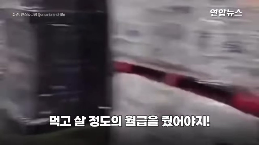 연합뉴스 Yonhapnews - 먹고 살정도 월급은 줬어야지!…라이터 