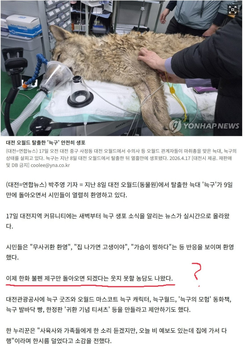 제구는 어디갔길래 이렇게 늑구그래.JPG