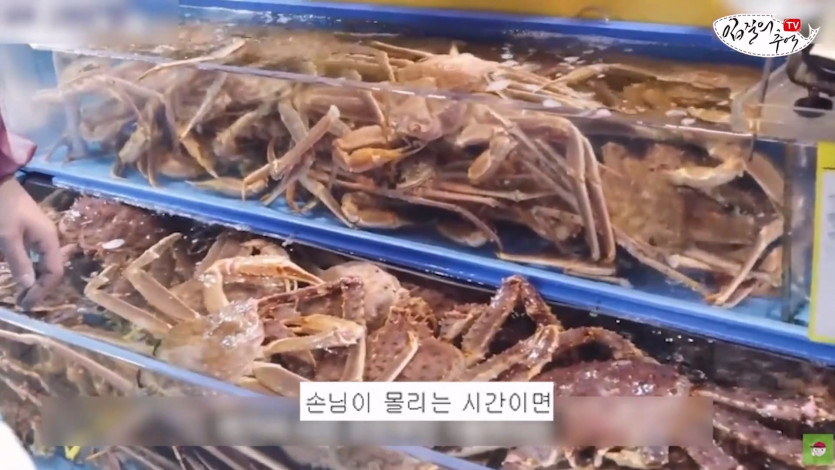 수산시장 내부자의 충격 폭로, 단골도 예외가 아닙니다 어떻게 팔길래 알아보니.(입문철TV EP.35)_20260418_000830.166.jpg