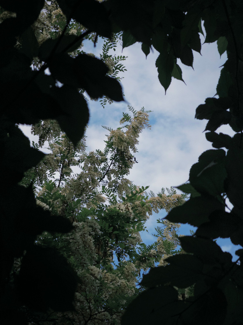 IMG_2513.jpeg
