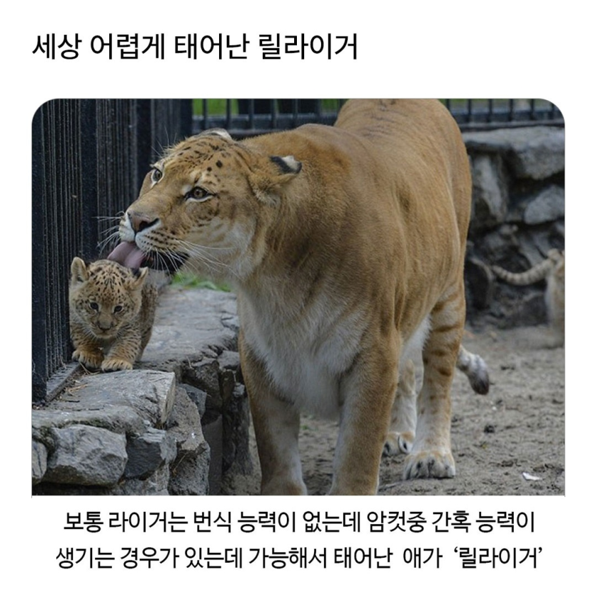 Screenshot_20260502_204751_Instagram.png
