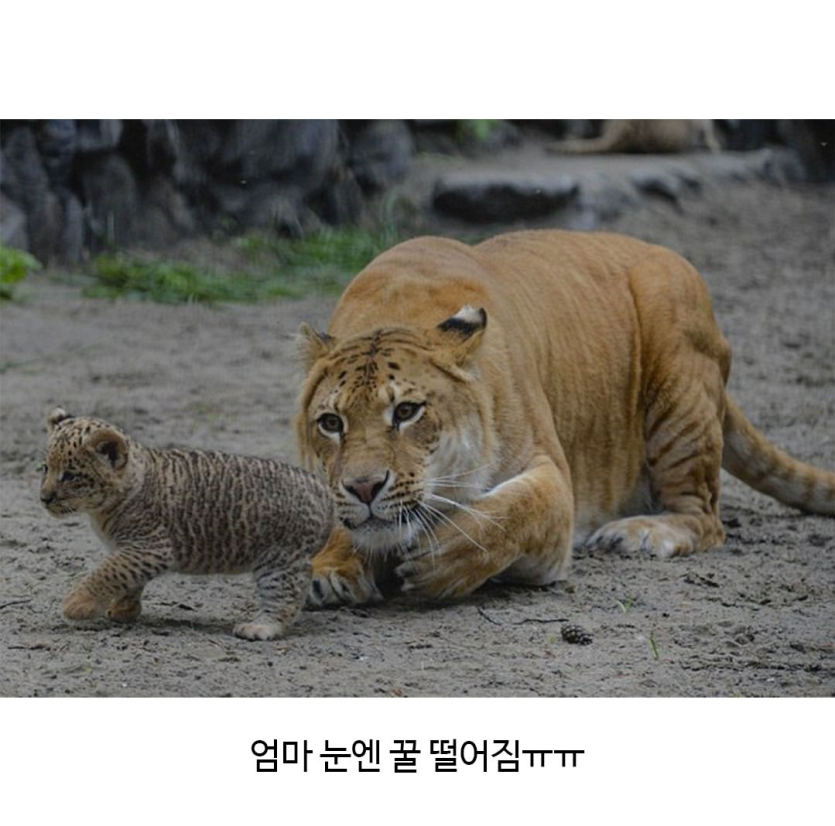 Screenshot_20260502_204835_Instagram.png